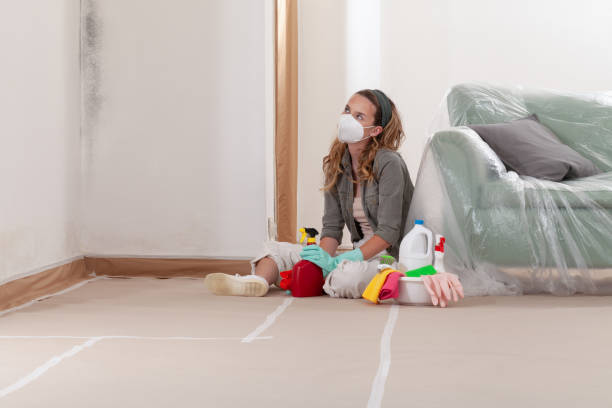 Reliable Mold Removal contractor in Port Townsend, WA by WQB Mold Removal